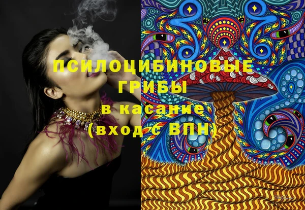 стаф Алексеевка