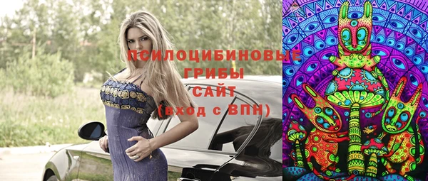 стаф Алексеевка